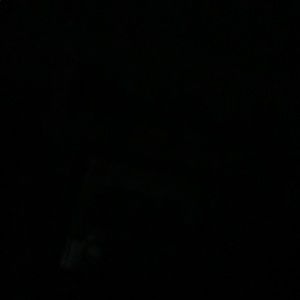 Meet your Posher, Sandy